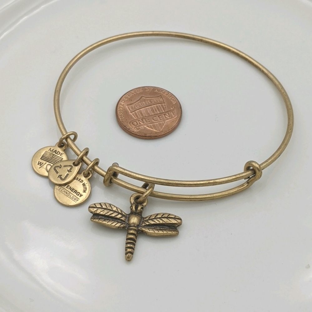 Alex and Ani Rafaleian Gold Dragonfly Bracelet